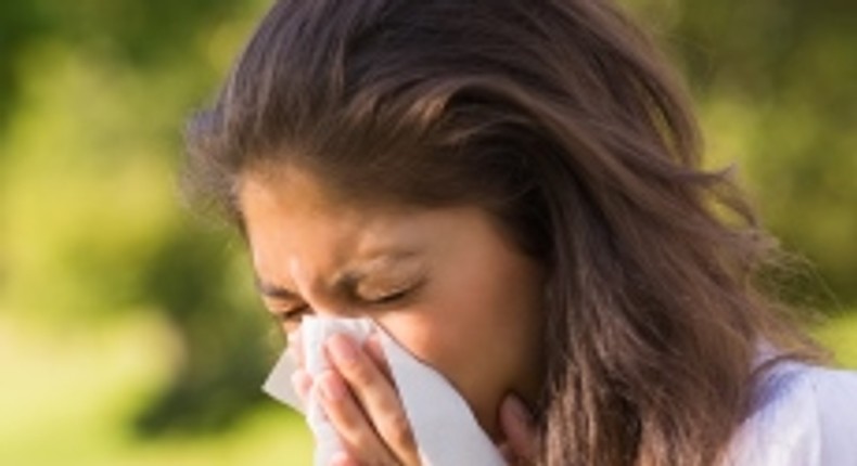 5 Myths About Allergies Pulselive Kenya