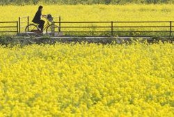 Na wsi powstało 34 tys. nowych miejsc pracy dzięki unijnym funduszom