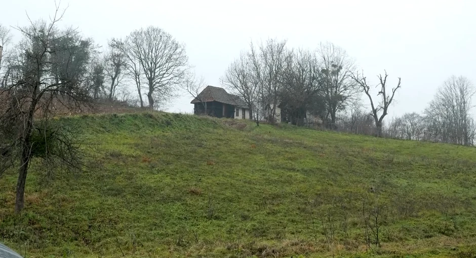 Mitar Mirić, emisija "Metar moga sela"