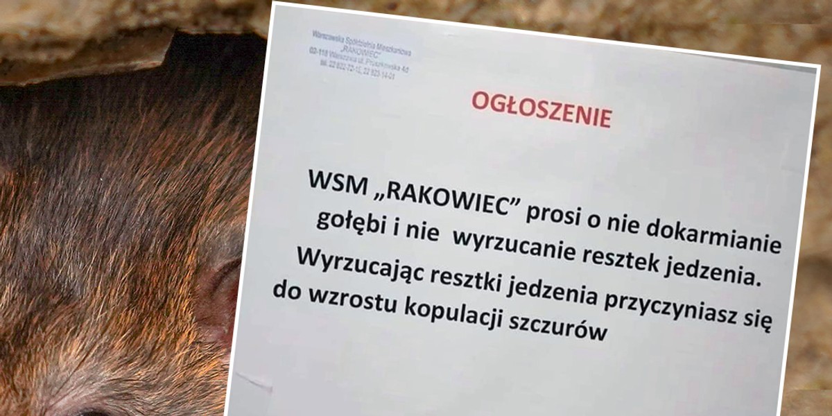 Ogłoszenie umieściła na swoim profilu "Miejska partyzantka ogrodnicza". 