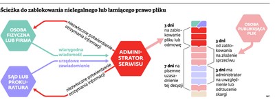 Polska może być dla Kim Dotcoma zieloną wyspą