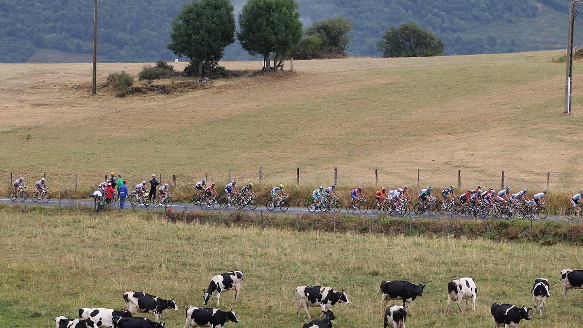 Takich kibiców nie chciałby chyba żaden kolarz. W trakcie niedzielnego etapu Tour de France na trasie rozrzucono gwoździe. Jak można się domyśleć, nie skończyło się to dobrze. W pewnym momencie stanął cały wyścig.