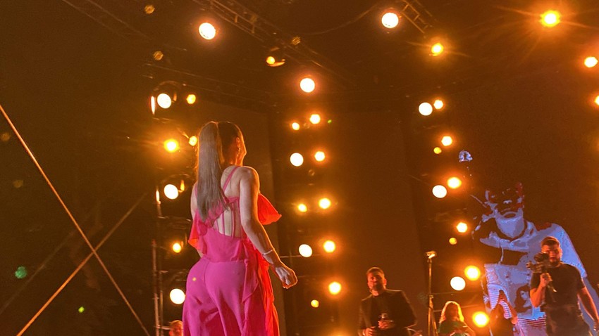 Ceca Ražnatović koncert u Nišu