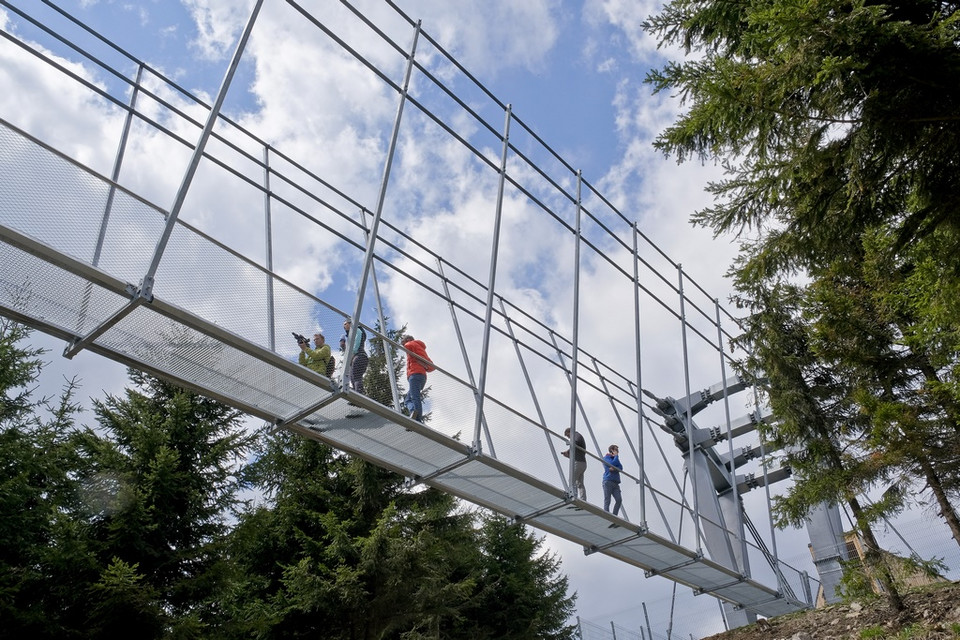 Sky Bridge