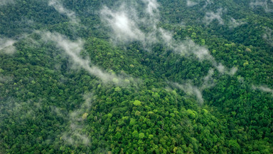 Magiczny las w Indonezji. Wstęp tylko dla nagich kobiet