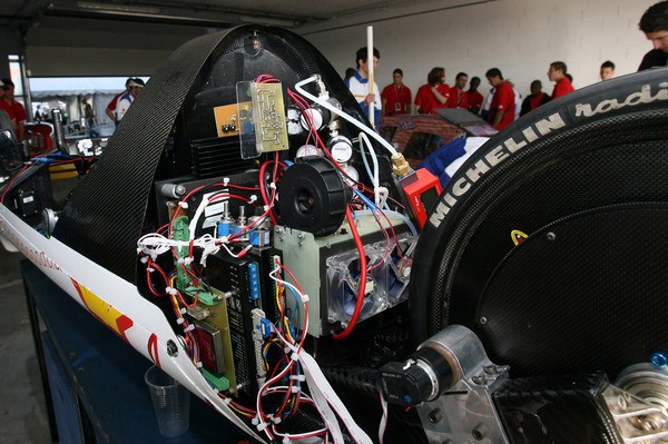 Te dziwne stwory mogą spalić litr paliwa na 3000 km