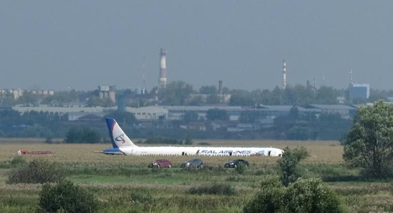 the Ural Airlines Airbus The A321 flying to Crimea hit a flock of seagulls shortly after take-off from Moscow's Zhukovsky airport