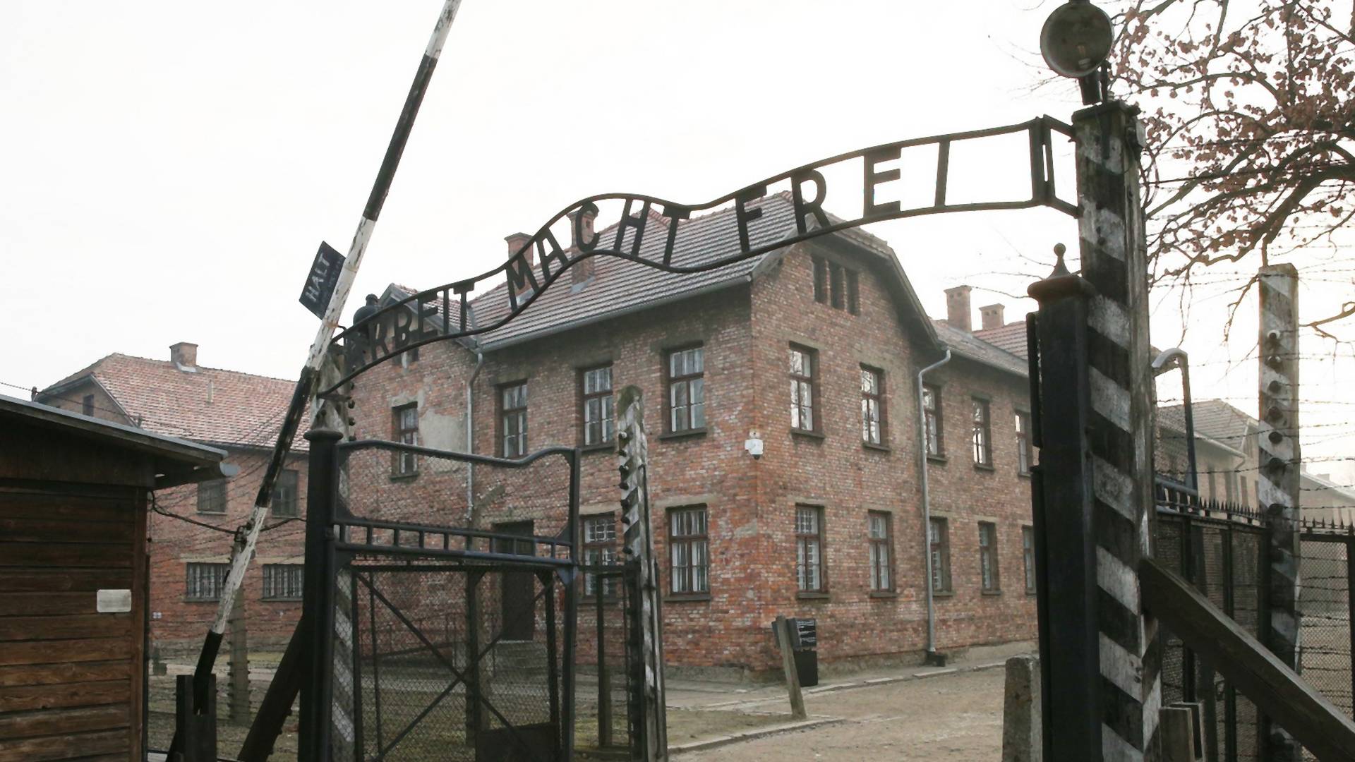 Jeziva priča Beograđanke koja je preživela susrete s Mengeleom u Aušvicu