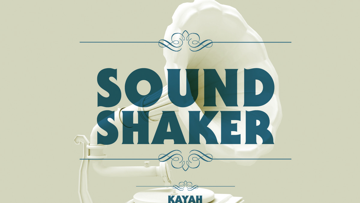 Zobaczcie kto jeszcze znalazł się na składance "Sound Shaker"!