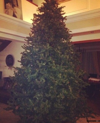 Choinka Marty Grycan