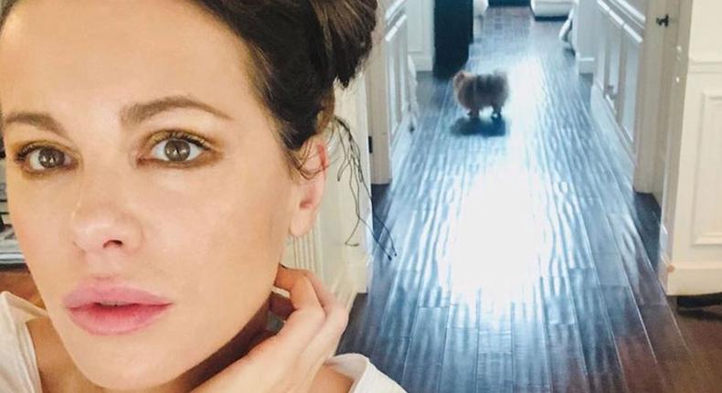 Watch Kate Do Yoga With Her Cat And Dog