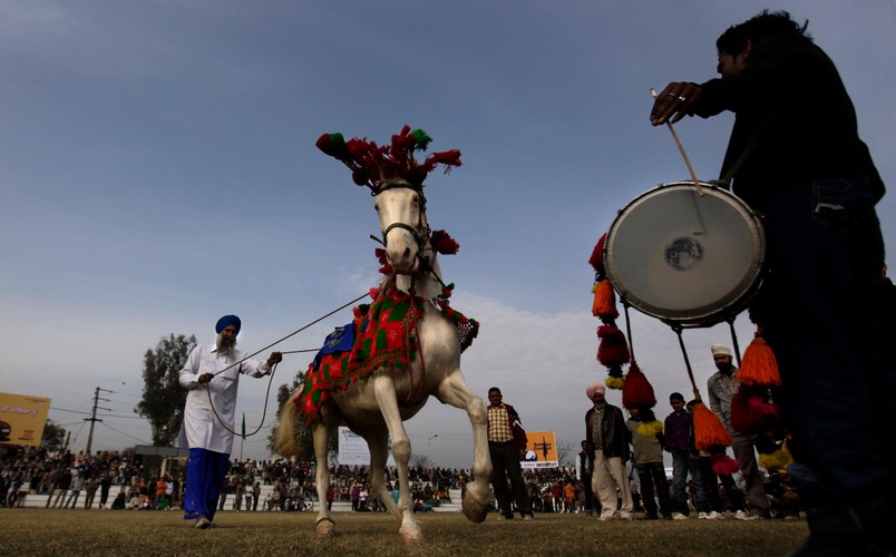 Jazda konna to ważny element tradycyjnych konkurencji dla wojowników. Są jednak zawody także dla samych koni. Taneczne...