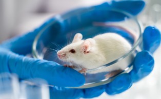 Następna pandemia może zacząć się od ataku terrorystycznego