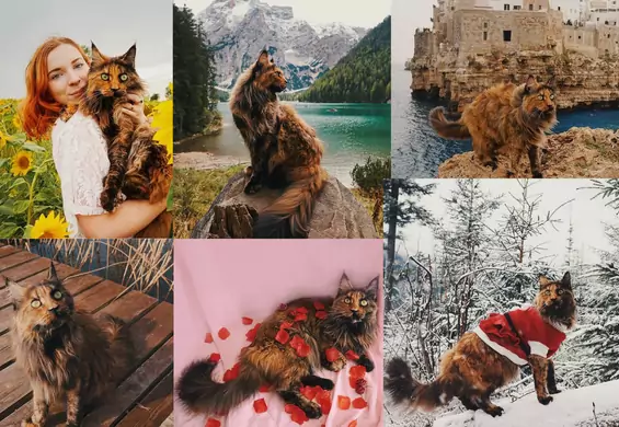 Poznajcie Lukrecję - podróżującą kotkę, która zwiedziła już 15 krajów