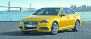 Bąk: moja bardzo wielka wina