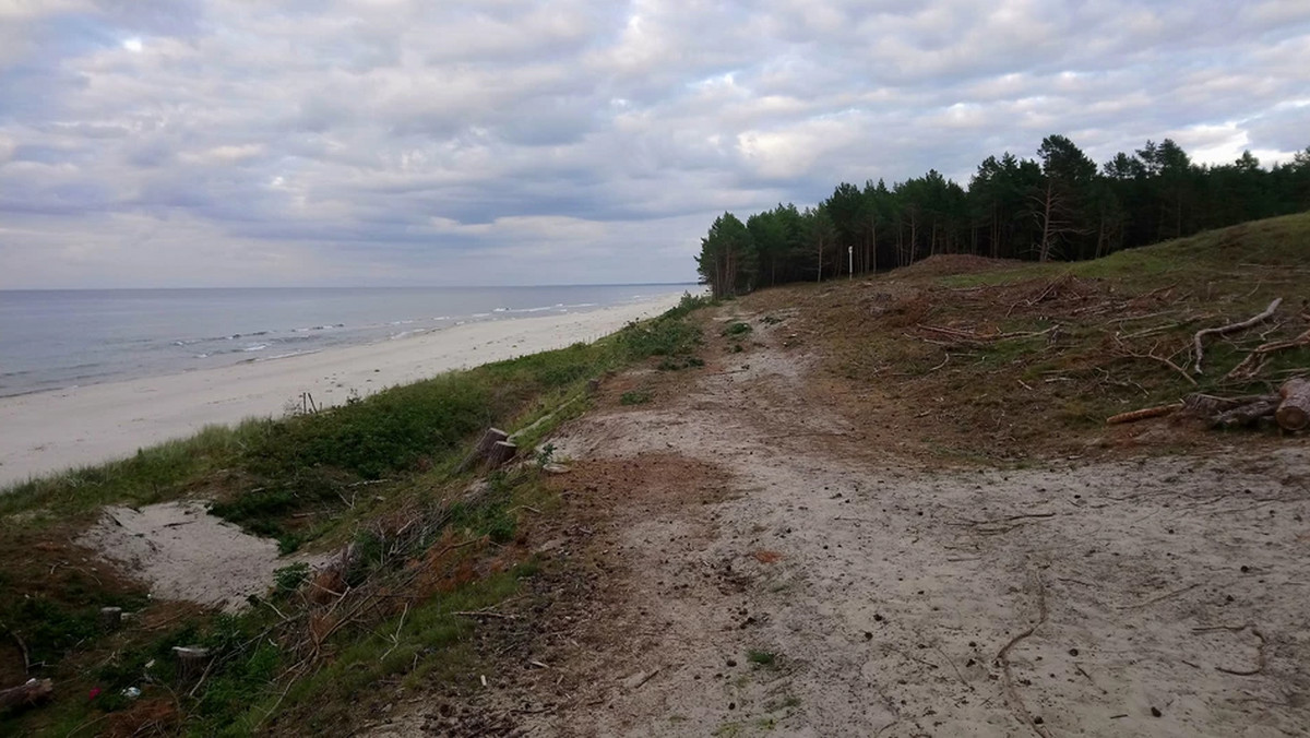 Anglik chciał wejść do Polski przez Rosję. „Zdziwił się”