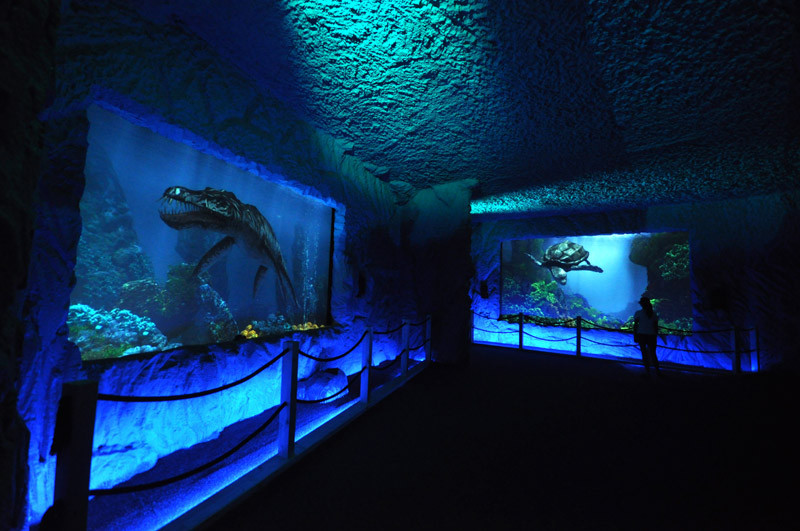 Bałtów - Prehistoryczne Oceanarium