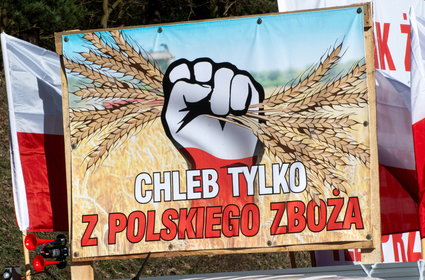 Agroholdingi oligarchów. Z kim mierzą się polscy rolnicy?