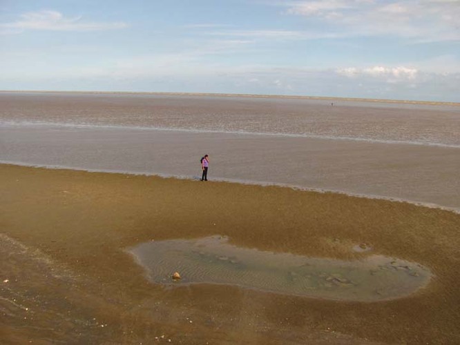 Plaża Chandipur w Indiach. Dlaczego jest niezwykła? Ponieważ woda płata tu niezwykłe figle. Po prostu znika. Podczas odpływu morze oddala się 5 km od lądu, pozostawiając muszle oraz zdezorientowane małe, czerwone kraby.