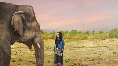 Szívfacsaró történet: Cher segített egy magányos elefánton