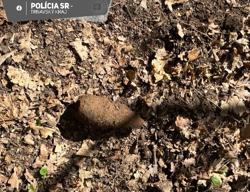 V lesoch v okolí Holíča sa nachádzala munícia. 