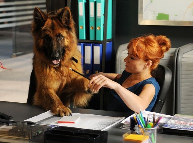 Ranking najpopularniejszych seriali cotygodniowych jesieni