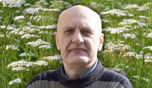 Hajdučka trava je ključna biljka domaće narodne medicine, poznata po širokoj primeni