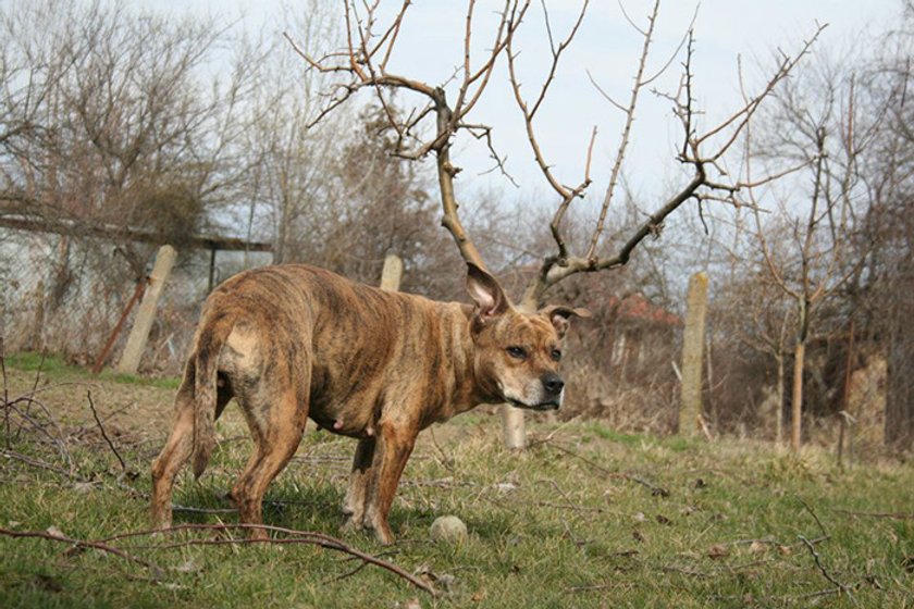 Zbereźne zdjęcia? Spójrz dwa razy!