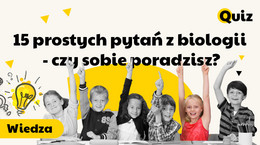 15 prostych pytań z biologii — jak dużo pamiętasz ze szkoły? [QUIZ]