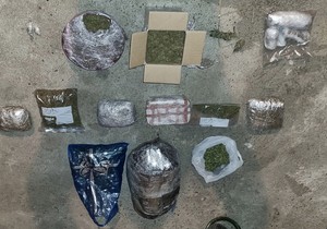 Zaplenjena marihuana