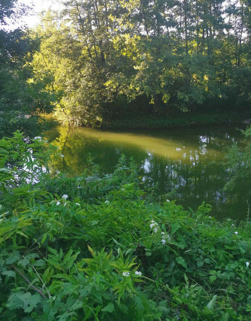 Mesto sa koga je policajac skočio u Rzav da pomogne mladiću