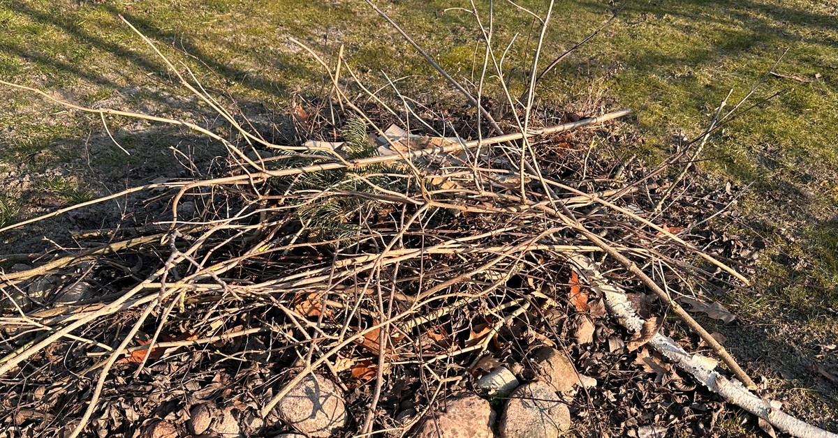 Palenie gałęzi na własnej posesji i w ogrodzie. Przepisy i kary 2025