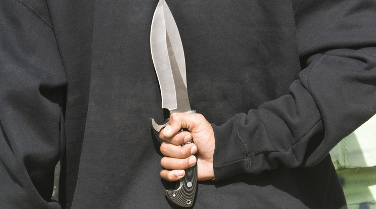 Az 54 éves Foster kést döfött szobatársaiba/Fotó:Northfoto