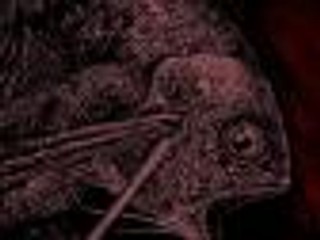 'Gyo - Odór Śmierci' - recenzja