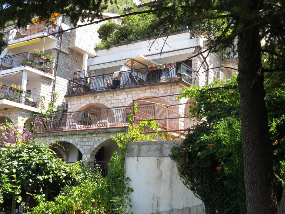 Vila Dragana Džajića