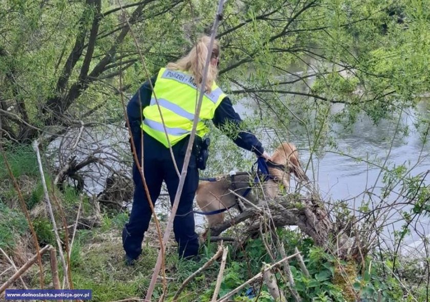 Zaginięcie Kacperka z Nowogrodźca. Tragiczny finał poszukiwań