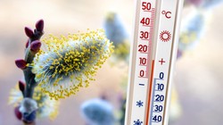 Pogoda na Wielkanoc 2025. Jaka będzie pogoda na Święta Wielkanocne 2025?