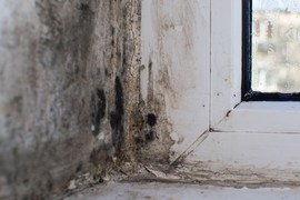 BUĐ OPEREM za 100 dinara i trajno je UNIŠTIM: Kupatilo mi se cakli kao ogledalo od kada sam otkrila ovaj trik