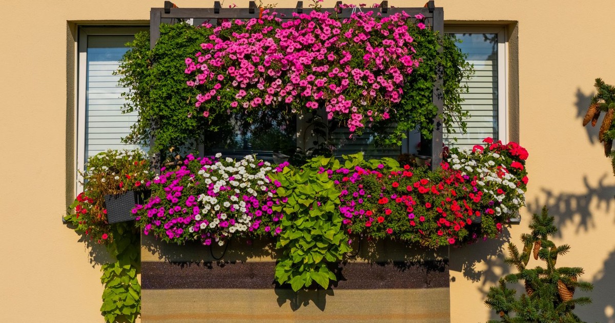 Nagrody w konkursie Warszawa w kwiatach!