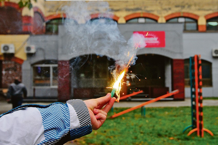 Ne zna se broj pasa i mačaka koje stradaju 