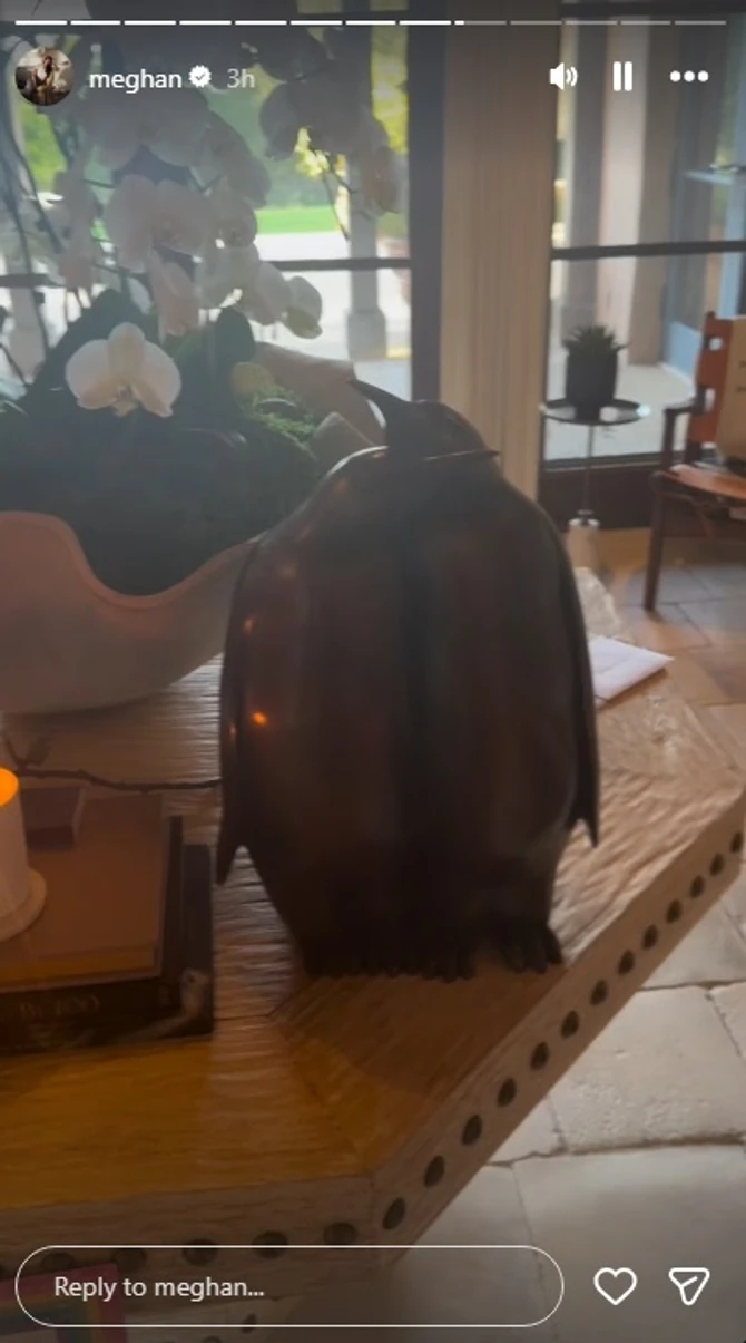 Harijev poklon za Megan Markl
