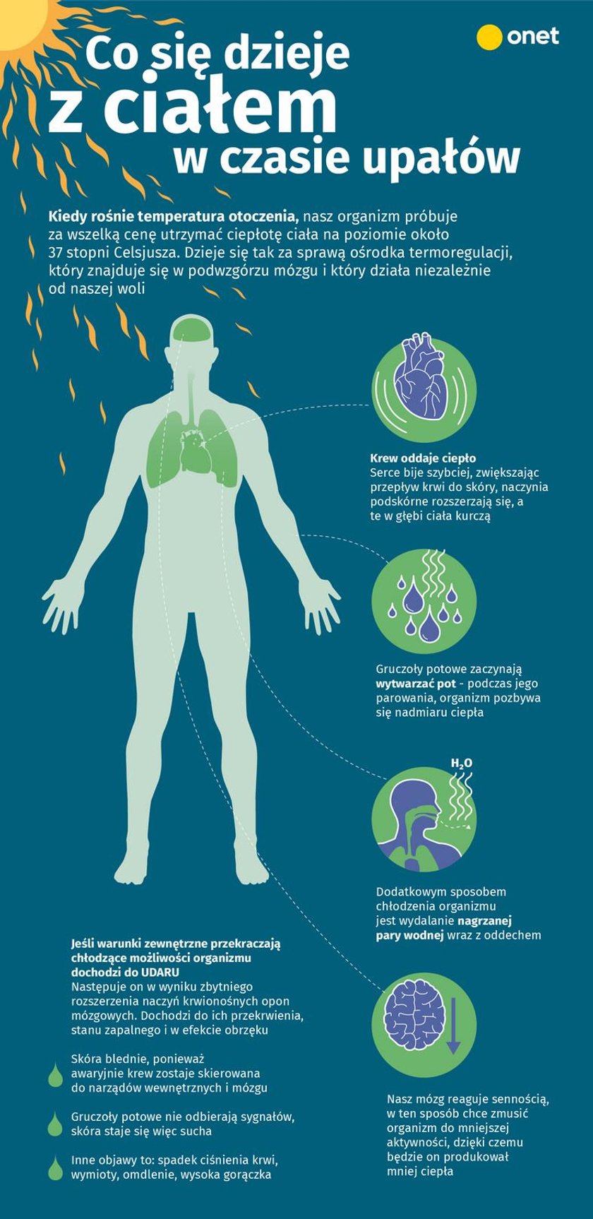 Tak nasze ciało reaguje na upały! Sprawdź, co się z nim dzieje, gdy na dworze jest wysoka temperatura