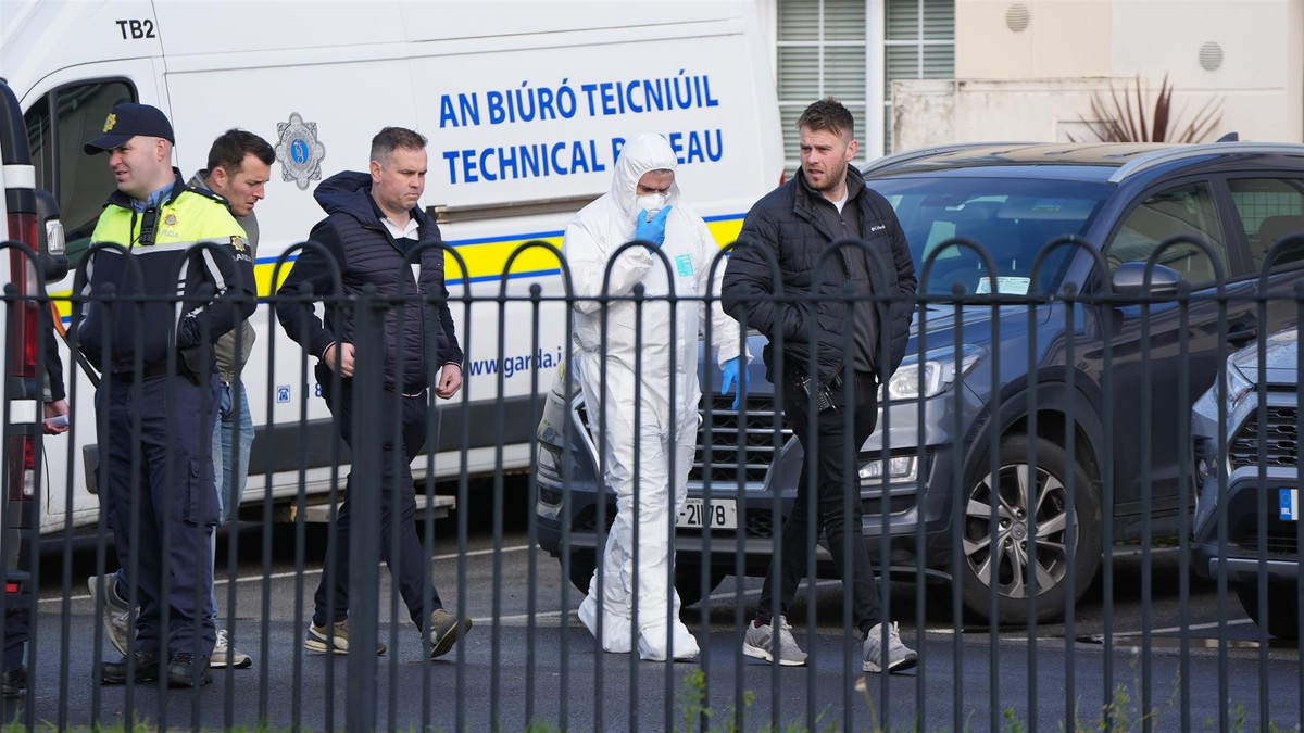 Nieludzki krzyk przeszył okolicę. Tragedia polskiej rodziny w Irlandii
