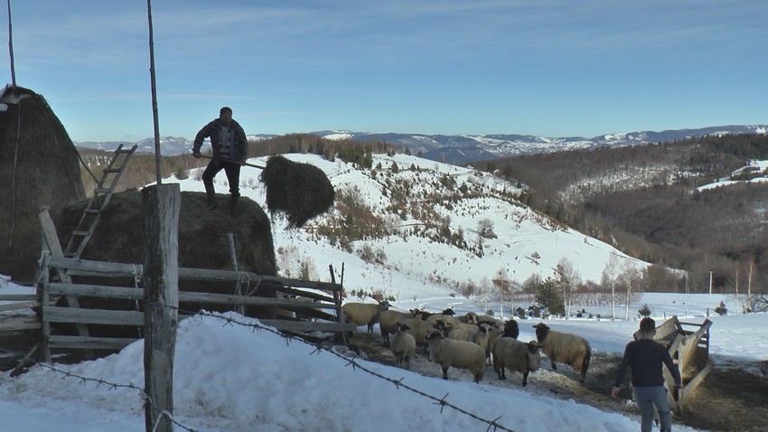 Sneg i kiša će se lediti