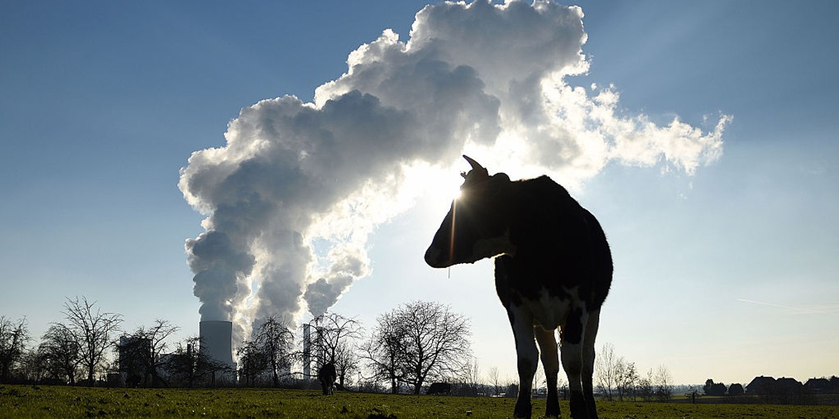 Wiceminister polskiego rządu dołącza się do głosu premiera Czech w sprawie likwidacji systemu prawami do emisji CO2. W czasie pandemii istotniejsze według niego niż walka ze zmianami klimatu jest ratowanie gospodarki.