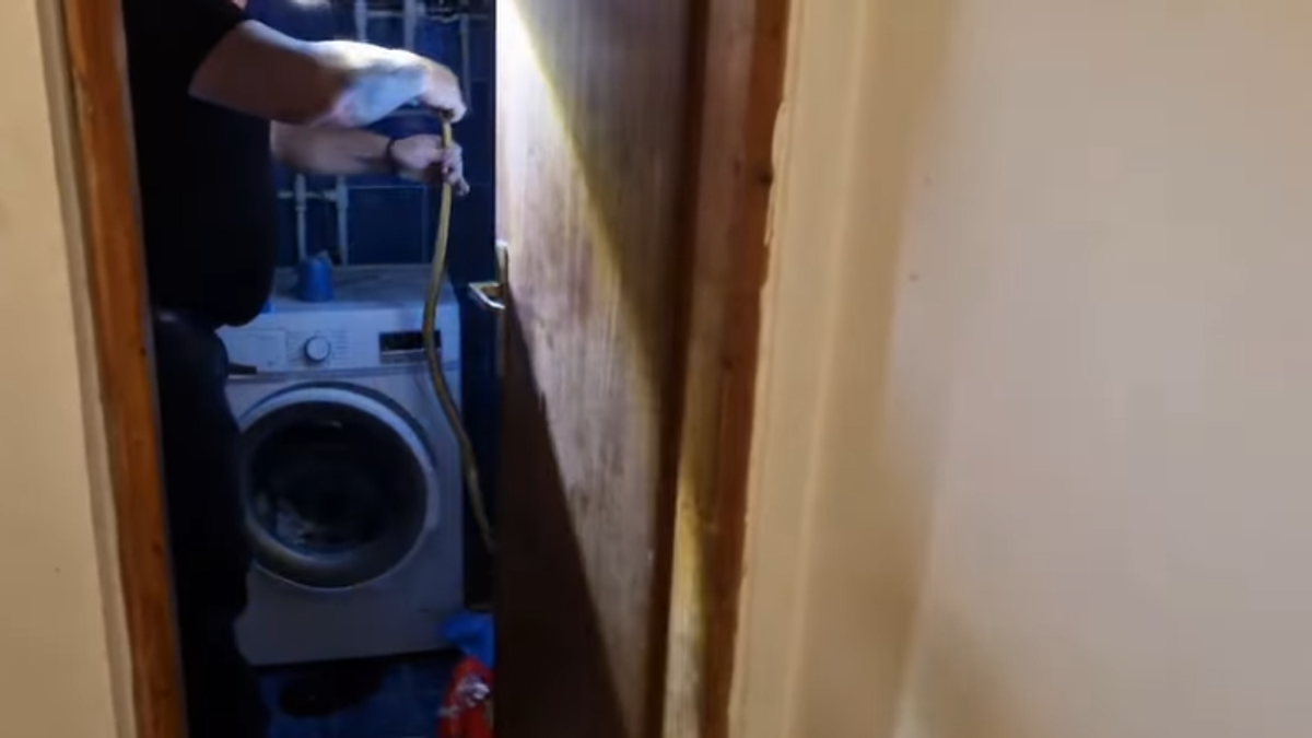 Zmija od preko metar izvučena iza veš mašine: Horor scena u Srbiji