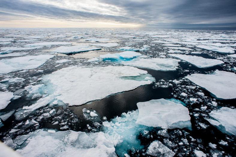Globalne ocieplenie w Arktyce