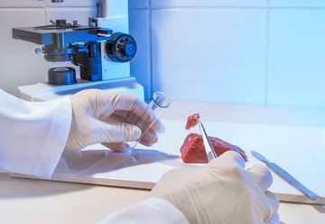A Nébih górcső alá veszi az ünnepi ételeket is