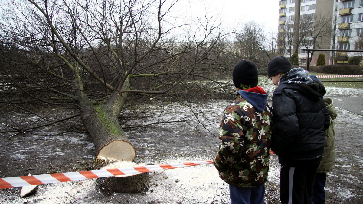 Zniknął zielony skwer, zamiast niego mieszkańcy będą mieli dwa bloki. Zgodę na wycinkę 77 drzew i krzewów wydał Wydział Ochrony Środowiska lubelskiego ratusza.