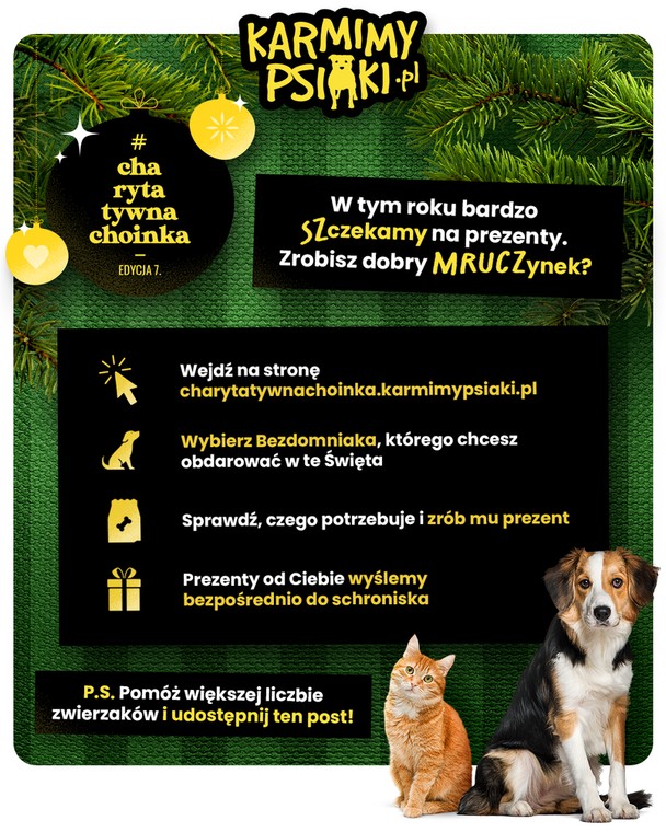 Akcja charytatywna "Karmimy psiaki"
